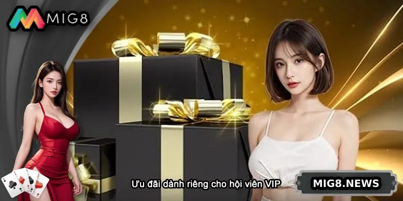 Chế độ ưu đãi dành riêng cho thành viên VIP