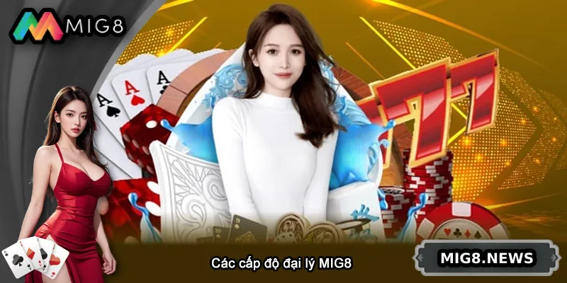 Giới thiệu các cấp độ và hình thức đại lý