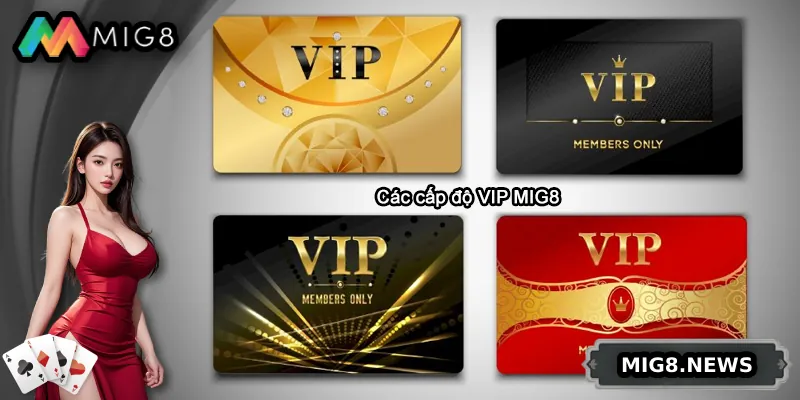 Giới thiệu các cấp độ Vip MIG8