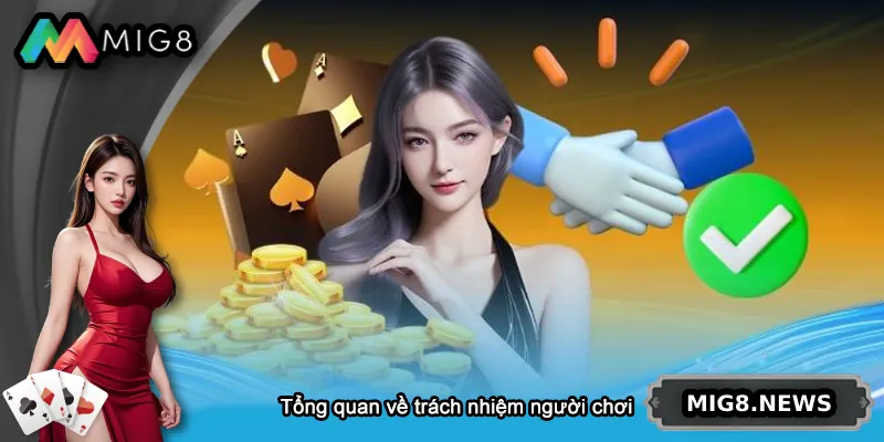 Tìm hiểu về chơi có trách nhiệm MIG8