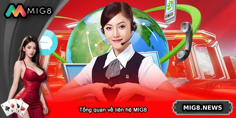 Tổng quan về liên hệ MIG8