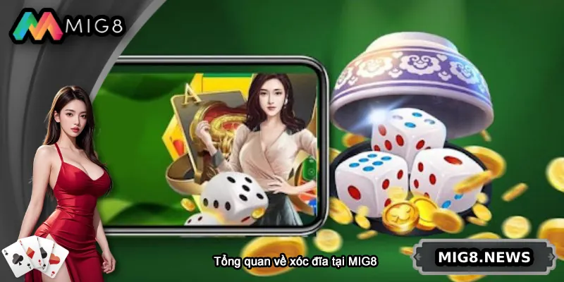 Tổng quan về trò chơi xóc đĩa